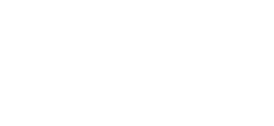 رویل پے logo